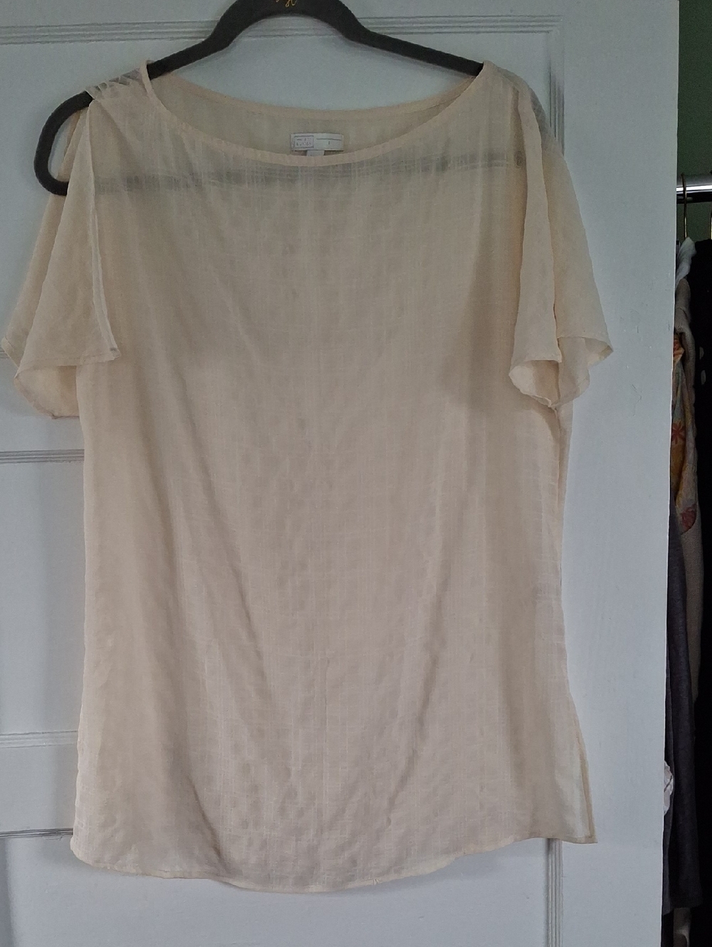 14th & Union Light Cream Sheer Flutter-Sleeve Blouse